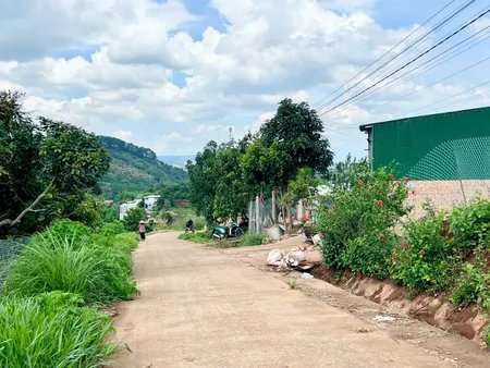 Đất thổ cư 436m² ngang 10m giá 990 triệu tại Thị trấn Nam Ban, Lâm Hà, Lâm Đồng