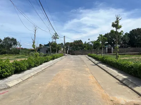 Từ 8 tr/m2 sở hữu ngay đất nền mặt tiền đường lớn gần trung tâm TP