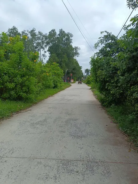 Bán đất 200m² ngang 5m full thổ cư SHR giá sập sàn 1.5 tỷ tại Xã Mỹ Hạnh Bắc Huyện Đức Hòa