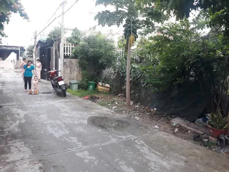 920m2 biẹt thự vườn trương văn đa đường 5m