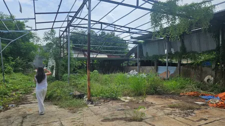 CHO THUÊ ĐẤT MẶT TIỀN – PHÙ HỢP LÀM KHO BÃI, XƯỞNG SẢN XUẤT – HÓC MÔN