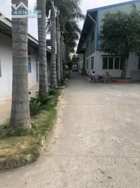 Xưởng 6600m2 container 40f đường Trần Văn Giàu giá 55 tỷ thương lượng