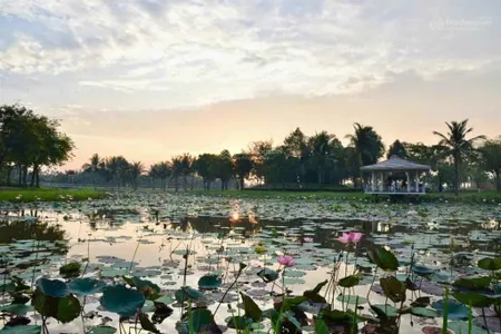 Giỏ hàng hơn 50 căn nhà phố park riverside giá tốt nhất thị trường, đã có sổ giá 9 tỷ