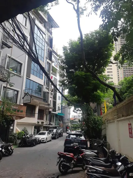 Bán nhà nguyễn chánh 65m² mặt ngõ 12m, vỉa hè kd sầm uất giá 13.7 tỷ. 0867 345 ***