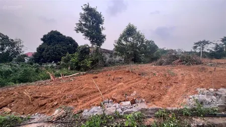 Bán lô đất 55m mặt tiền. dt 1090m2 có 150m2 đất ở. ba vì. giá 2,x tỷ
