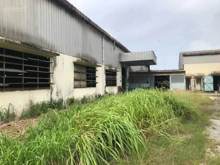 Cần tiền bán gấp nhà xưởng mặt tiền tl8, bình mỹ, củ chi, dtkv 9000m2 xd 4000m2 giá 47 tỷ
