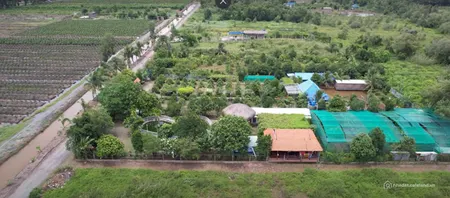 Bán đất Bình Chánh (đường Vườn Thơm); 21x88m; hạ tầng hoàn chỉnh; sổ đỏ; 14 tỷ (Tin Hết Hạn)