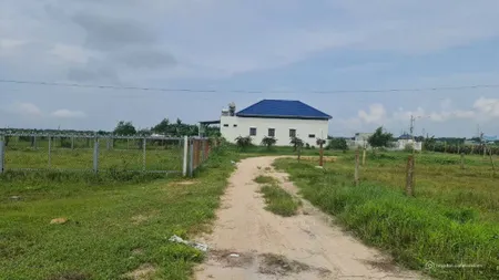 bán gấp 1000m2 có 300m thổ cư khu rừng vàng, tân bình, lagi, bình thuận. giá ngợ (Tin Hết Hạn)