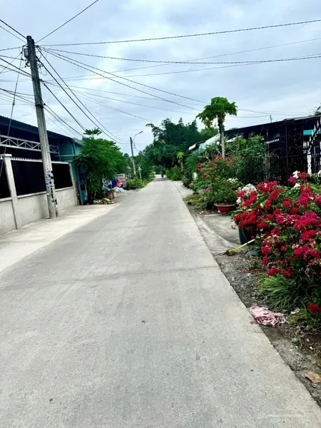 cô chủ 70 tuổi cần bán 175m2 thổ cư tại xã phú hoà đông, 1/ tỉnh lộ 15 cu chi (Tin Hết Hạn)
