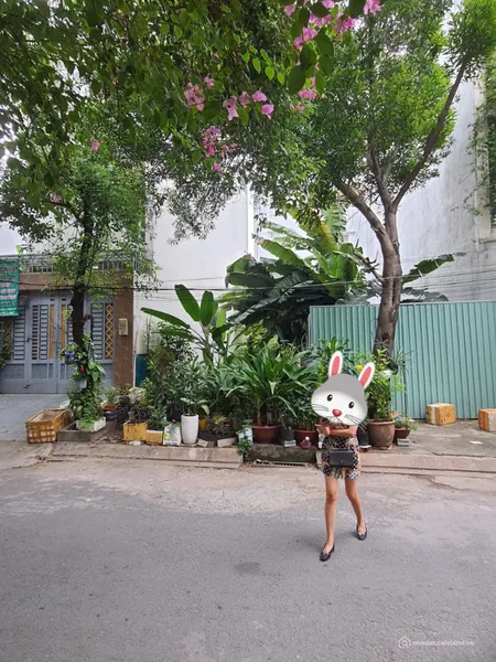 Bán đất đường Đặng Thùy Trâm, Phường 13, Bình Thạnh (Tin Hết Hạn)