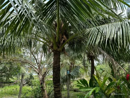 CƠ HỘI ĐẦU TƯ SINH LỜI – BÁN ĐẤT KDC NINH MÃ, CẠNH KĐT LẤN BIỂN SUNGROUP (Tin Hết Hạn)