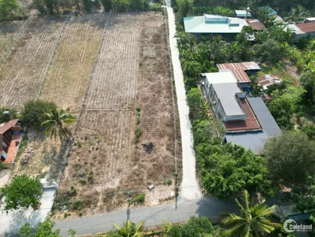 Hạ Giá Sốc! 132m² Đất Thổ Cư Tây Ninh, Gần KCN Hiệp Thạnh, Giá Tốt Chỉ 650 Triệu (Tin Hết Hạn)