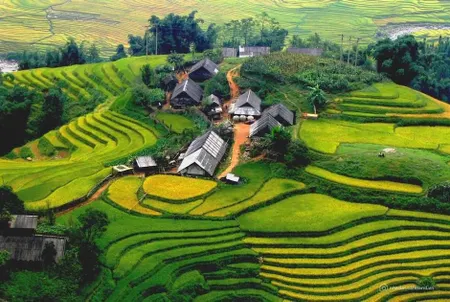 Bán đất vị trí đắc địa có 1 không 2 Sa Pa-lào cai@ 210 tỷ (Tin Hết Hạn)