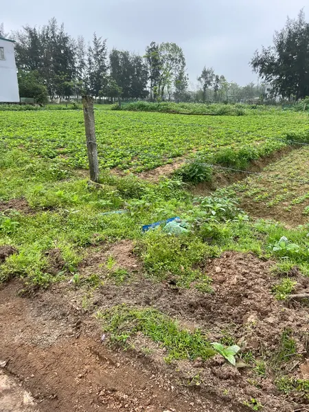 đất đẹp rộng thoáng (Tin Hết Hạn)