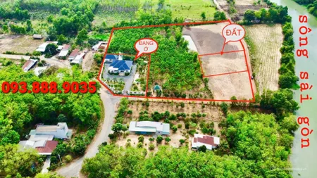 BÁN GẤP 2 LÔ 10X35=350M2 SHR THỔ CƯ, NGAY THỊ TRẤN, GIÁP SÀI GÒN GIÁ 550TR (Tin Hết Hạn)