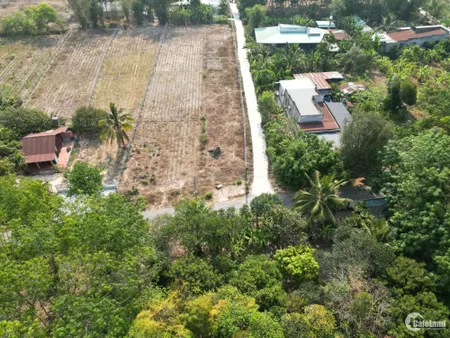 Bán Nhanh Đất Thổ Cư 132m² Gần KCN Hiệp Thạnh - Tây Ninh, Giá Chỉ 550 Triệu! (Tin Hết Hạn)