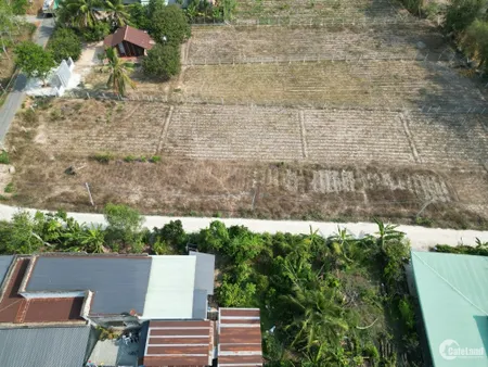 Vị Trí Đắc Địa! Đất Thổ Cư 132m² Tây Ninh, Gần KCN Hiệp Thạnh, Chỉ 550 Triệu! (Tin Hết Hạn)
