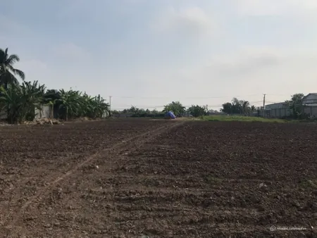 Bán đất mặt tiền đường Lê Văn Tưởng, xã Hướng Thọ Phú, Tp. Tân An, Long An (Tin Hết Hạn)