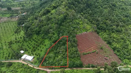 Bán đất đồi Hàng Gòn - thích hợp mua là vườn , nghỉ dưỡng (Tin Hết Hạn)