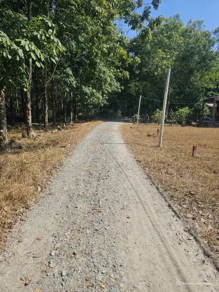 Bán gấp đất Hưng Thuận ngang 18m, dài 36m - Giá thấp hơn thị trường, cần bán trư (Tin Hết Hạn)