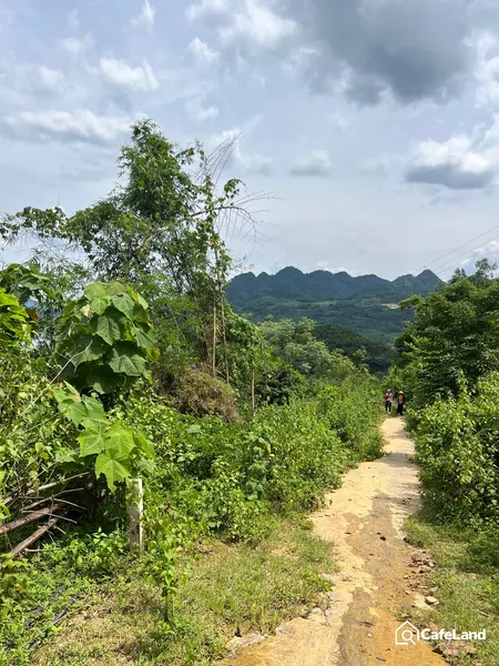 DT 1650M VIEW HỒ HB ,PHONG CẢNH NÊN THƠ ĐANG CẦN TÌM CHỦ NHÂN Ạ , GỌI E LVCC Ạ (Tin Hết Hạn)