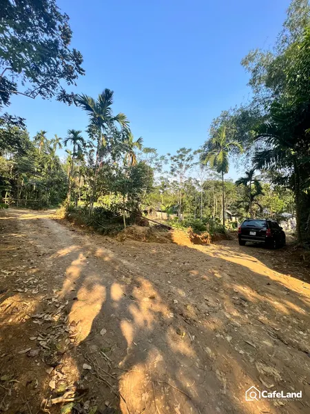 CC GỬI BÁN LÔ ĐẤT ĐẸP SẴN NHÀ SÀN VÀ VƯỜN CÂY LÂU, DIỆN TÍCH RỘNG VIEW ĐẸP . (Tin Hết Hạn)