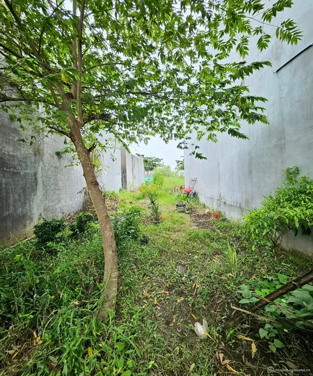 Bán đất khu TĐC Thuận An, Bình Minh, Vĩnh Long (Tin Hết Hạn)