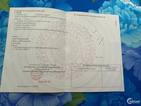 Đất trung tâm thành phố Đồng Xoài Bình Phước 1,2 tỷ sang tên công chứng ngay (Tin Hết Hạn)