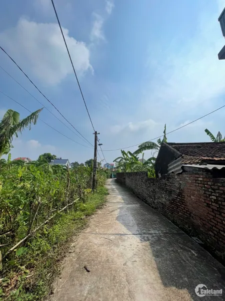 Chính chủ cần bán lô đất 2000m² mặt đường 66m, giá rẻ nhất khu vực (Tin Hết Hạn)