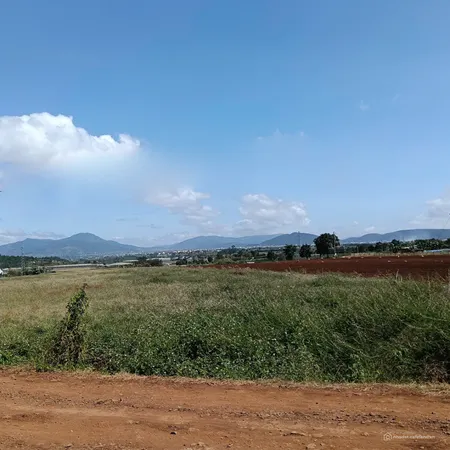 BÁN ĐẤT SÀO VIEW NÚI R'CHAI TUYỆT ĐẸP TÂN HỘI, ĐỨC TRỌNG, LÂM ĐỒNG (Tin Hết Hạn)