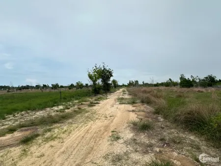 Bán 26m x 38m đất NGỢP BANK Tân Bình, thị xã LaGi 1.6 tỷ cách biển 1.5Km (Tin Hết Hạn)