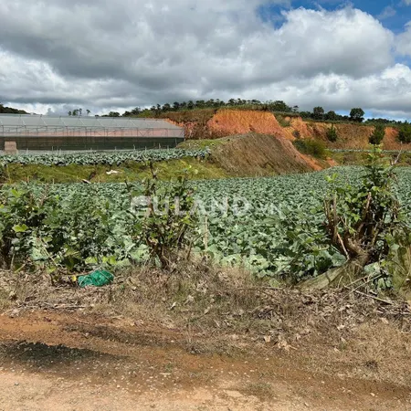 Đất làm farm giá đầu tư