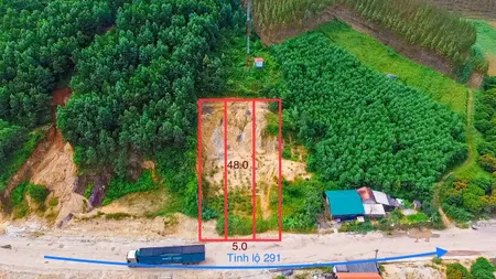 Bán đất 250m² ngang 5m giá 850 triệu tại Xã Tuấn Đạo Huyện Sơn Động