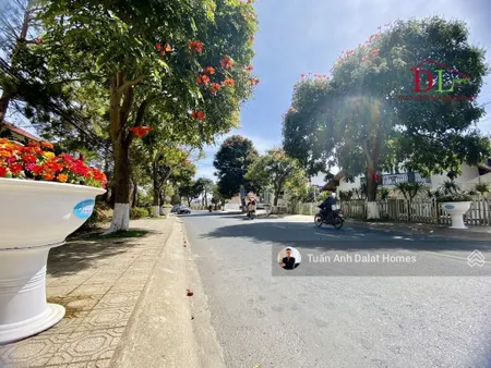 Bán đất mặt tiền lê hồng phong, đà lạt, thế nở hậu, vị trí vàng trung tâm, giảm sâu chỉ còn 48 tỷ