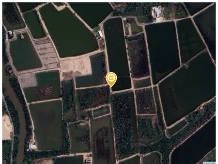 Bán đất 1282m² ngang 15m giá 1.8 tỷ Xã An Thới Đông