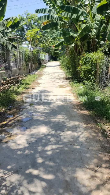 Đất Ninh Phụng giá rẻ