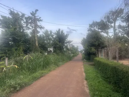 Bán đất 3255.6m² ngang 33m giá 2.5 tỷ Phường Cư Bao
