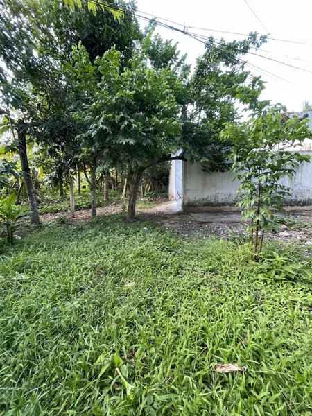 Bán đất 816m² ngang 11m giá 2.6 tỷ Xã Long Hồ giáp Phường PHƯỚC HẬU