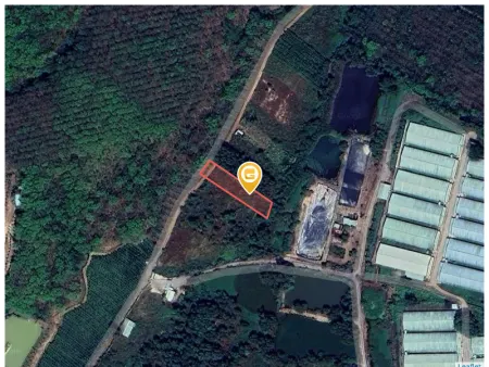 Bán đất 1167.8m² giá 8 tỷ Xã Bắc Tân Uyên