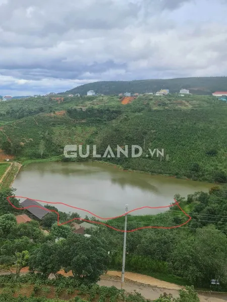 Bỏ phố về rừng với view nhức nách