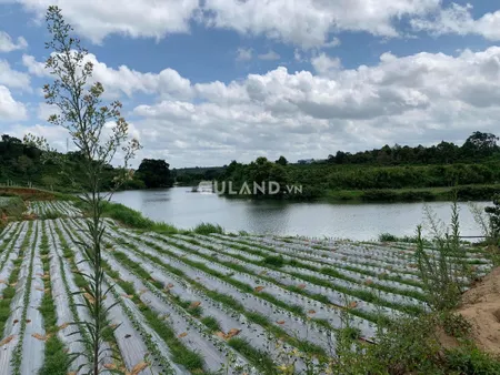 Đất giáp sông giá tốt