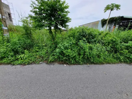 (L733) (Ngưng bán )  Đất 1/ Quốc Lộ 22, xã Tân Thông Hội, dt 125m2, full thổ, giá 2 tỷ 280