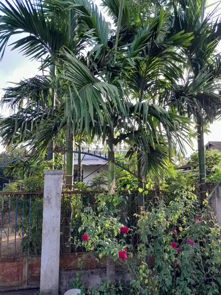 Bán đất 811.5m² 1.71 tỷ tại Xã Cuor Đăng Huyện Cư M'gar
