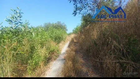 Gia đình cần bán đất xã trị an, huyện vĩnh cửu, 3000 m2, chỉ 1,5 tỷ