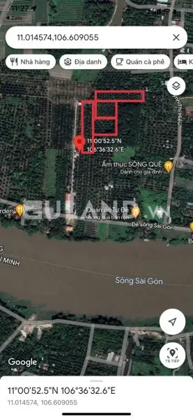 CẦN BÁN GẤP 1HA  VƯỜN CÂY ĂN TRÁI THỦ DẦU MỘT