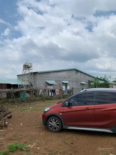 Bán đất 1000m2, 300 triệu tại xã đồng tiến, đồng phú, bình phước, giá siêu hời, uy tín
