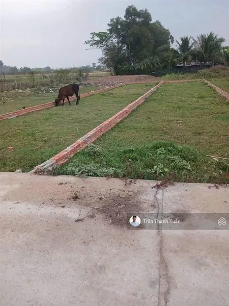 Mặt tiền đường bê tông, thông, gần lộ, vị trí đẹp, liên kết vùng