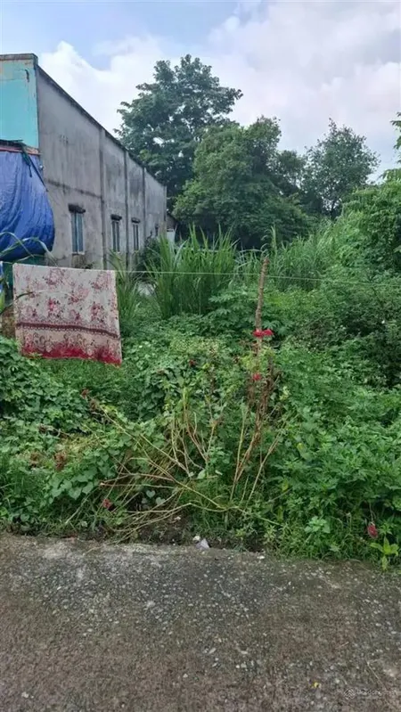 Bán gấp lô đất đẹp tân thông hội 251m thổ, 9m mặt tiền 1/ ql22. 1 tỷ 350 triệu