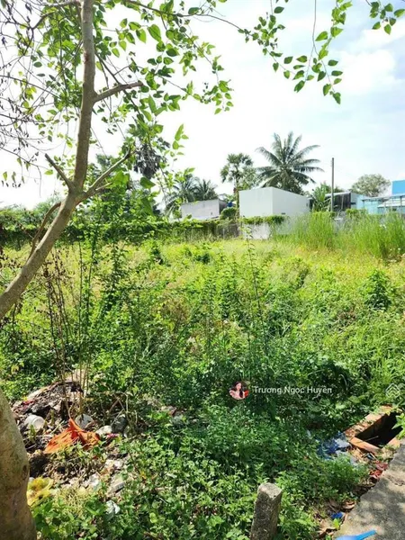 Bán đất mặt tiền đường nguyễn thông, gần chợ phú hài, thành phố phan thiết 120m2/2,1tỷ shr