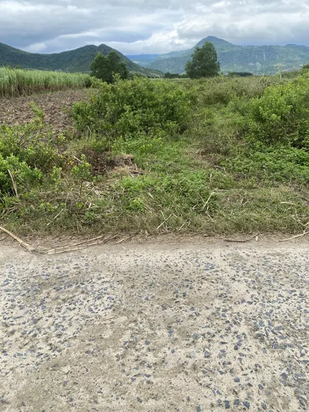 Cần bán gấp lô đất tại xã Cam An Nam cách sân bay 10km